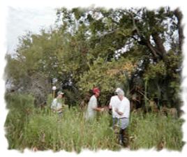NASA fieldwork